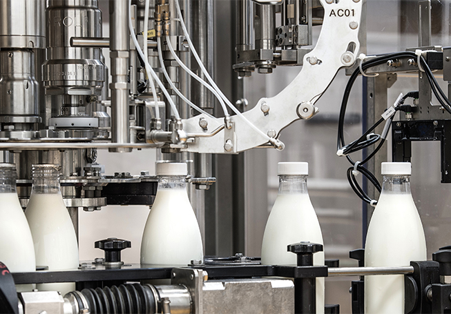 Milk bottling at the the factory (photo)