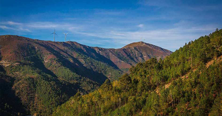 Scenery of mountains covered with trees and a couple of wind turbines on the ridge (photo)