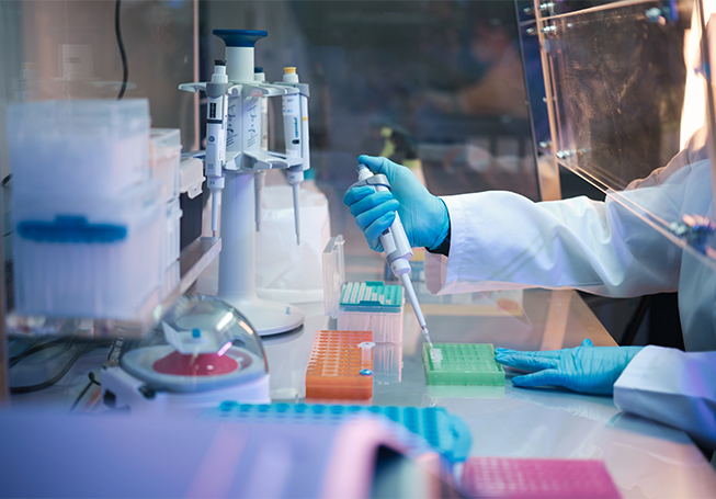 Hands of a laboratory worker using a syringe (photo)