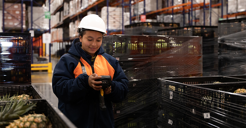 Employee with white protection helmet among crates filled with pineapple (photo)