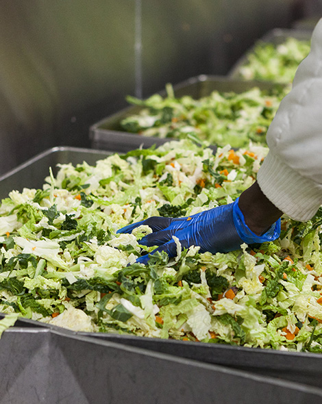 Chopped vegetables in a big container (photo)