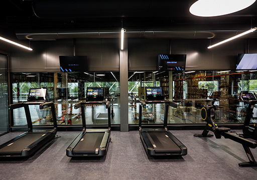 Three treadmills and a rowing machine in a gym (photo)