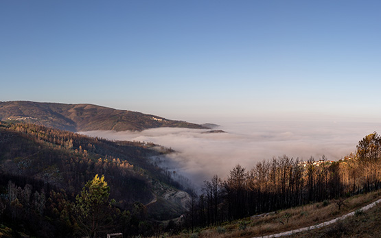 Sunny mountain landscape with fog over the lower lying areas (photo)