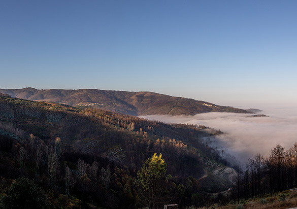 Sunny mountain landscape with fog over the lower lying areas (photo)