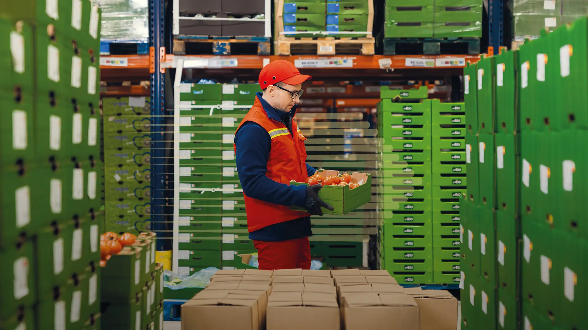 Employee holding a box of tomatoes amidst many crates at a distribution centre (photo)