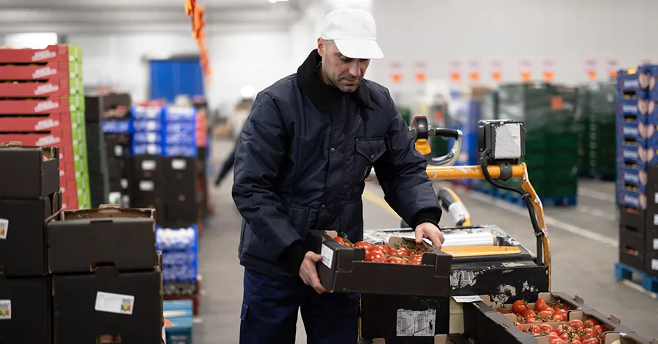 An employee handling a box of tomatoes in a distribution centre standing next to a forklift with more boxes of tomatoes (photo)
