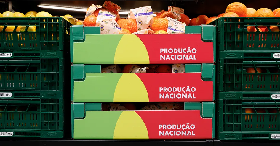Close-up of three crates of citrus fruits (lemons to the left, oranges in the middle and to the right). The middle crate is made of paper, the other two of plastic. (photo)