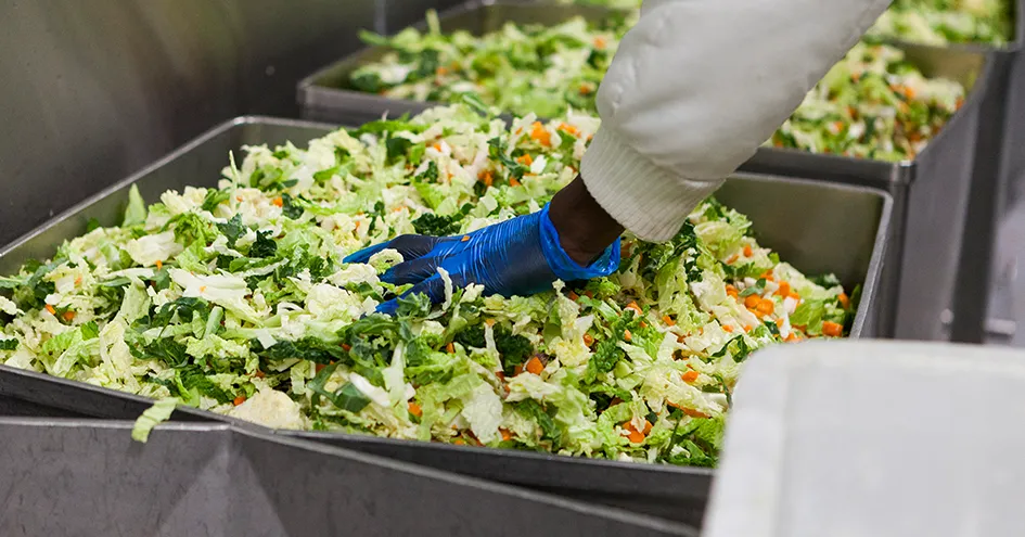 Close-up of an employee wearing blue gloves washing cut vegetables (photo)