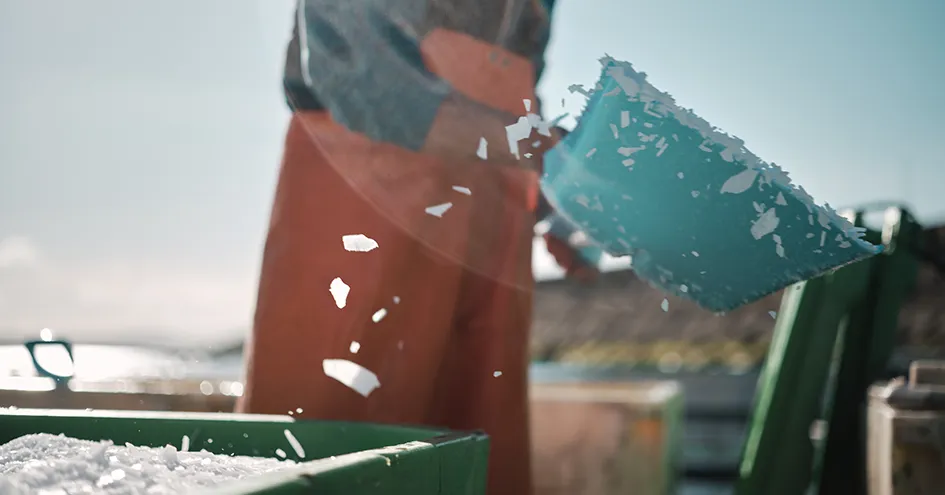 A fisher scooping ice from a container on a ship (photo)