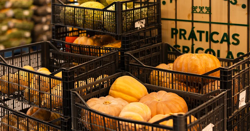 Stacked crates with different pumpkins (photo)