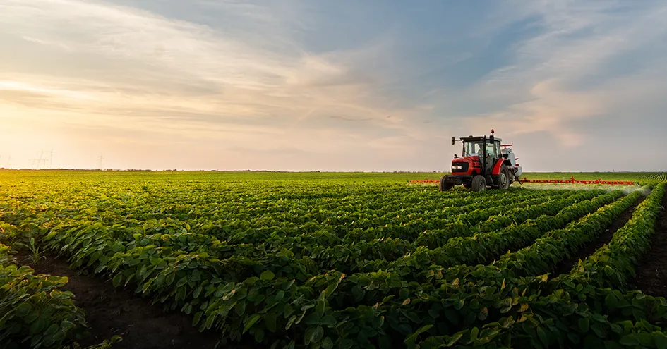 A tractor on a soy field at work on a sunny day. (photo)