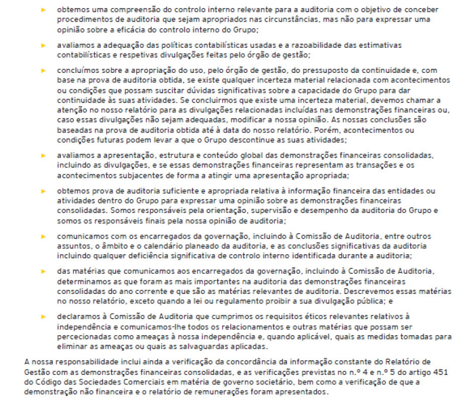 Página 5 do relatório dos auditores sobre as demonstrações financeiras consolidadas (foto)