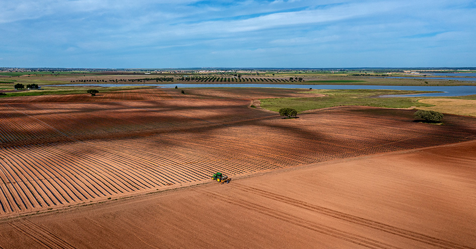 Agricultor num trator a lavrar os campos (foto)