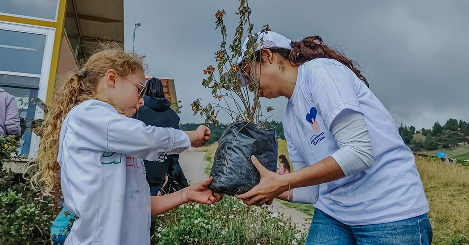 Dois voluntários seguram uma árvore que está prestes a ser plantada (foto)