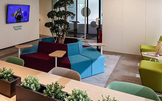 Espaço de lounge luminoso com plantas, mobiliário confortável e um ecrã na parede (foto)