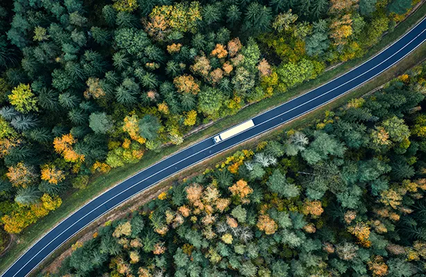 Um camião numa estrada visto de cima, com uma densa floresta de ambos os lados (foto)