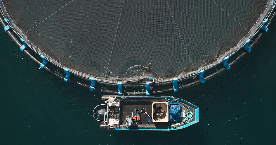 Vista aérea de um barco de pesca junto a uma jaula de aquacultura (foto)