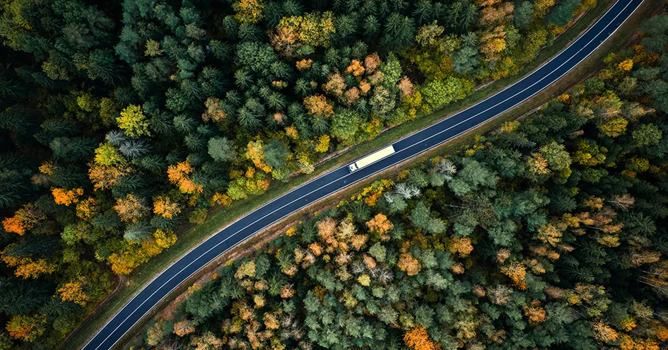 Um camião numa estrada visto de cima, com uma densa floresta de ambos os lados (foto)