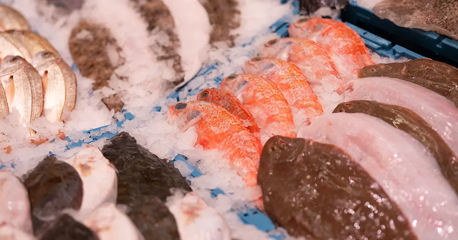Grande plano de diferentes peixes em caixas com gelo (foto)